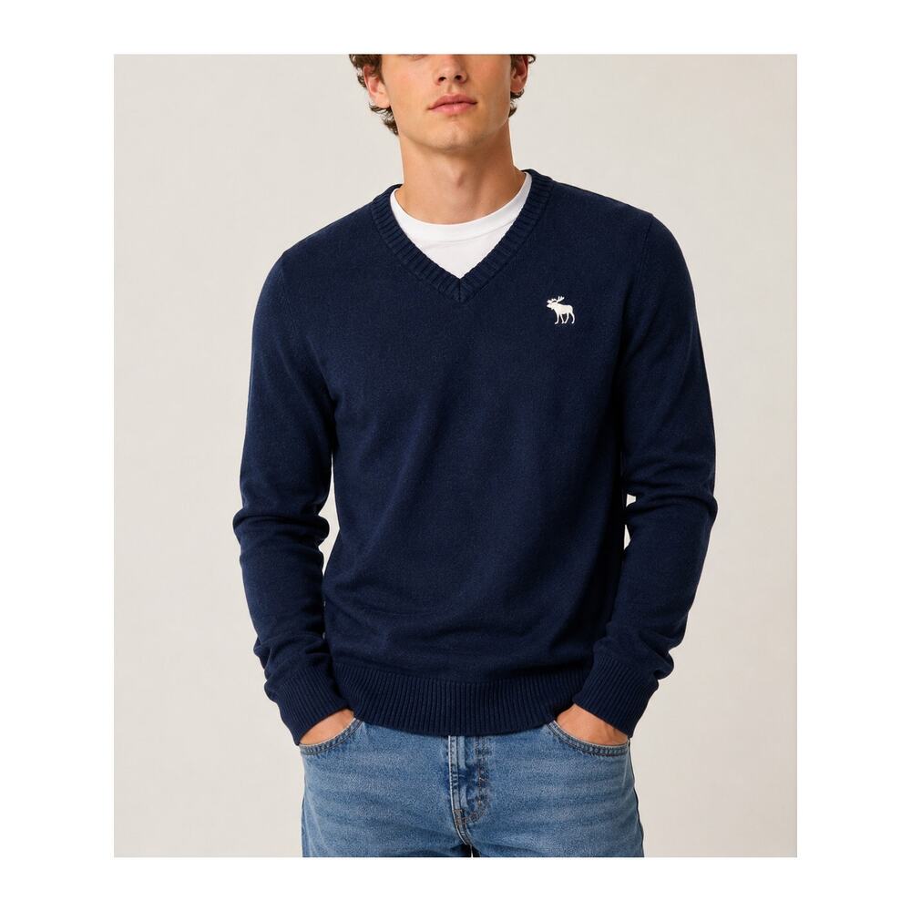 Abercrombie Fitch Moose Sweater Men Medium Blue Wool Cashmere Preppy Coastal